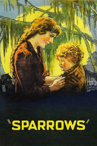 Постер фильма «Воробушки»