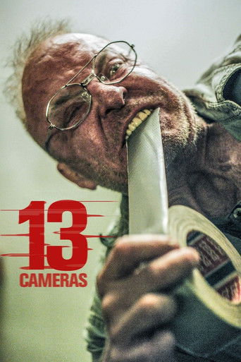 Постер фильма «13 камер»