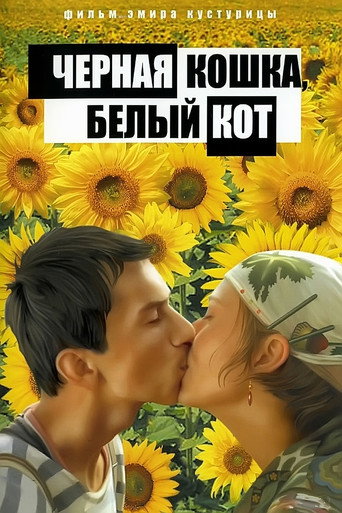 Постер фильма «Чёрная кошка, белый кот»