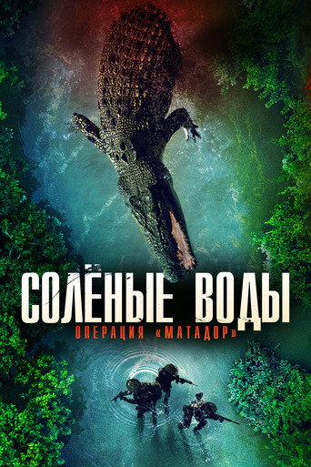Постер фильма «Солёные воды: Операция "Матадор"»