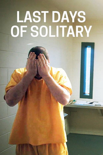 Постер фильма «Last Days of Solitary»