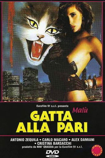 Постер фильма «Gatta alla pari»