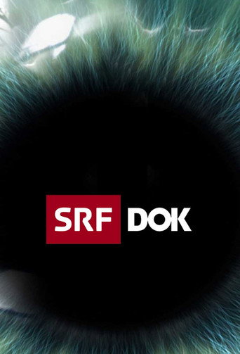 Постер фильма «SRF DOK»