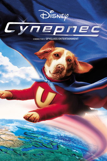 Постер фильма «Суперпес»