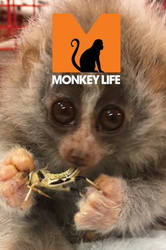 Постер фильма «Monkey Life»