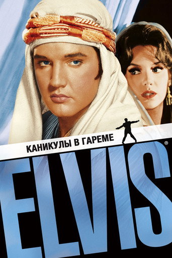 Постер фильма «Каникулы в Гареме»