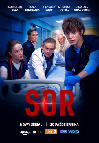 Постер фильма «SOR»