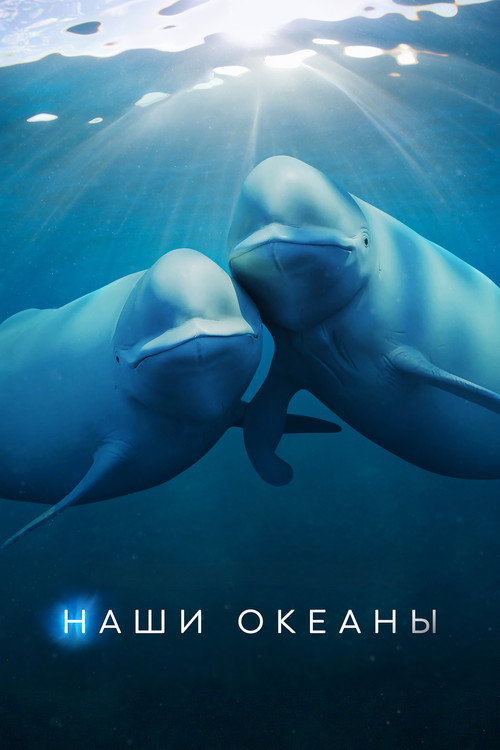 Постер: Наши океаны