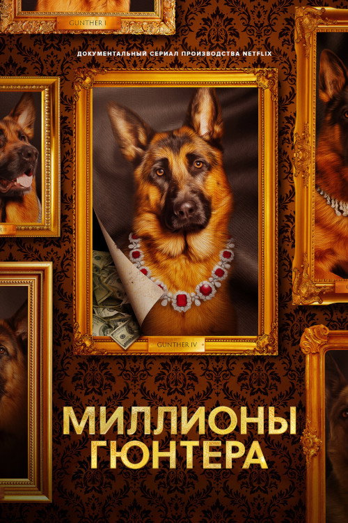 Постер: Миллионы Гюнтера