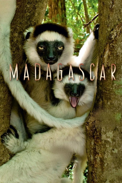 Постер: Мадагаскар