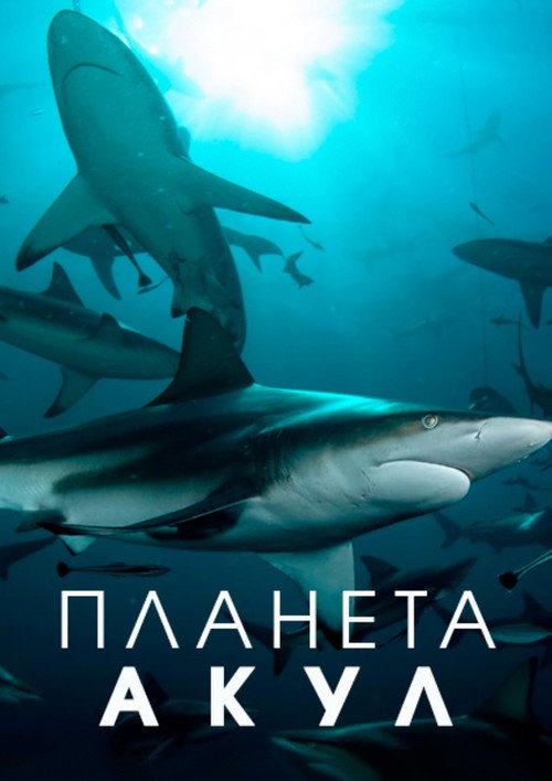 Постер: Планета акул