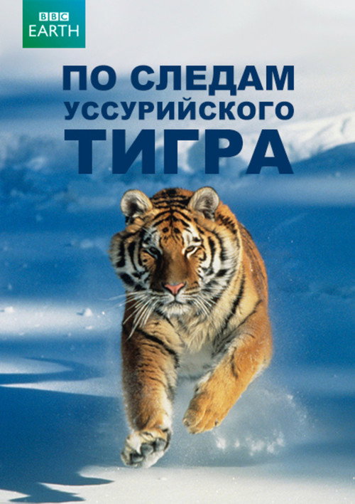 Постер: По следам уссурийского тигра