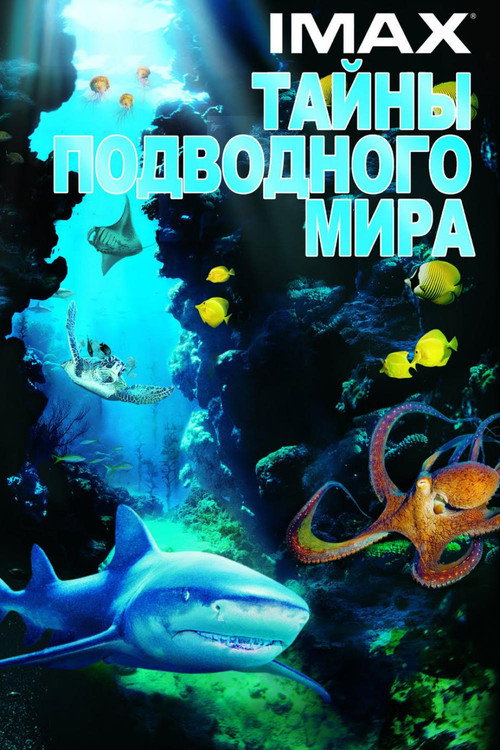Постер: Тайны подводного мира