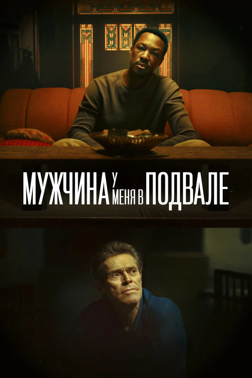 Постер: Мужчина у меня в подвале