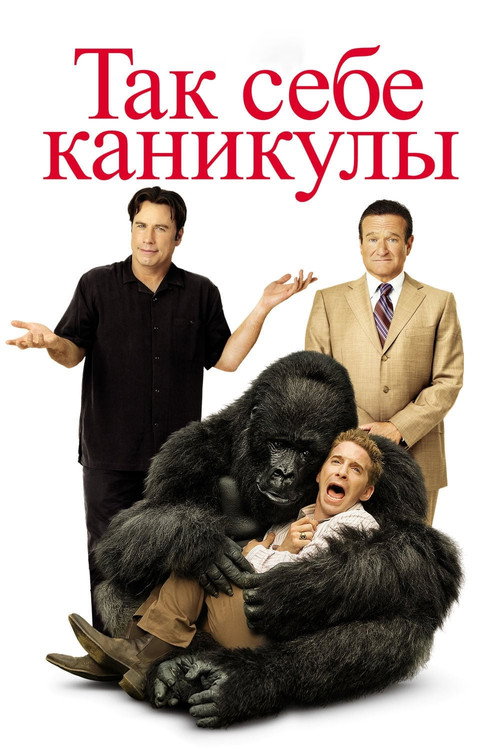 Постер: Так себе каникулы