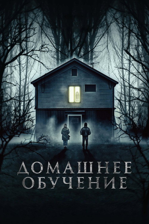 Постер: Домашнее обучение