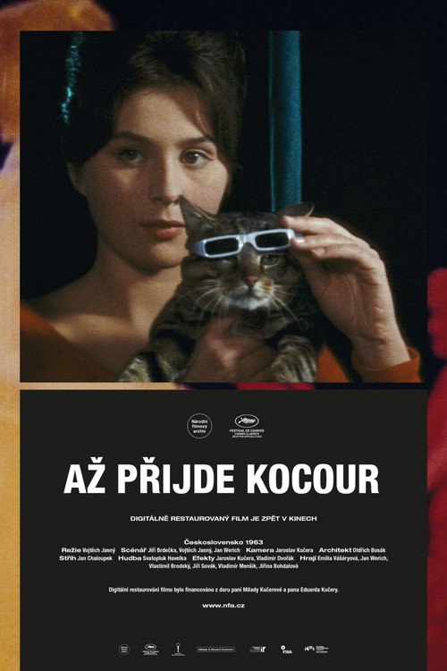 Постер: Вот придёт кот