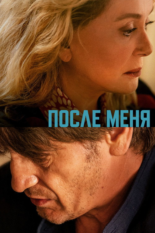 Постер: После меня