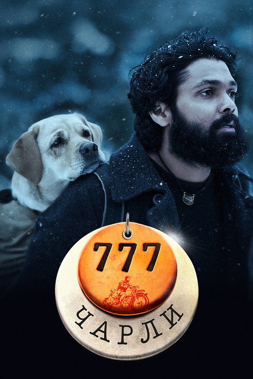 Постер: 777 Чарли