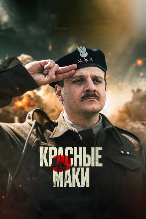 Постер: Красные маки