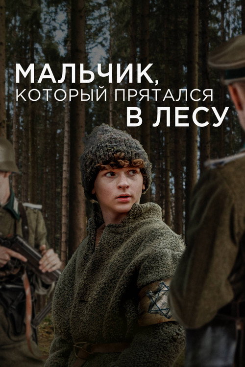 Постер: Мальчик, который прятался в лесу