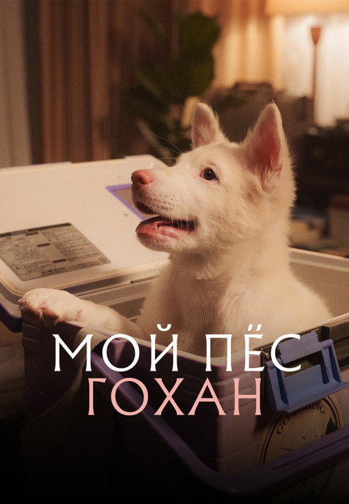 Постер: Мой пёс Гохан