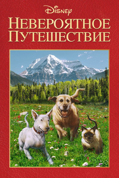 Постер: Невероятное путешествие