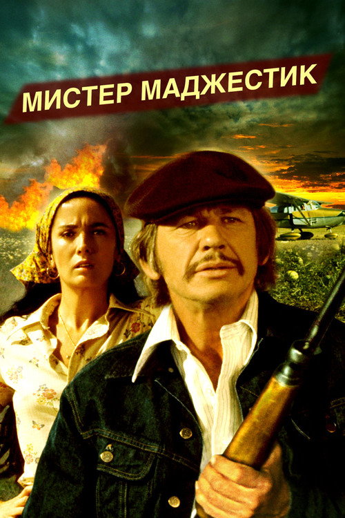 Постер: Мистер Маджестик