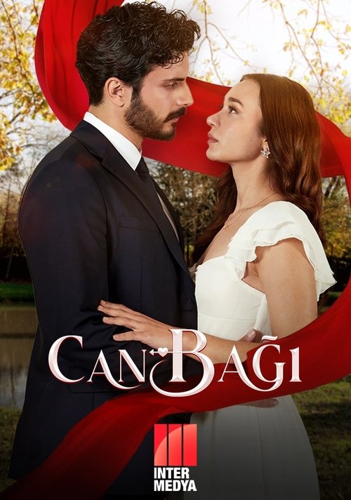 Постер: Сердечные струны