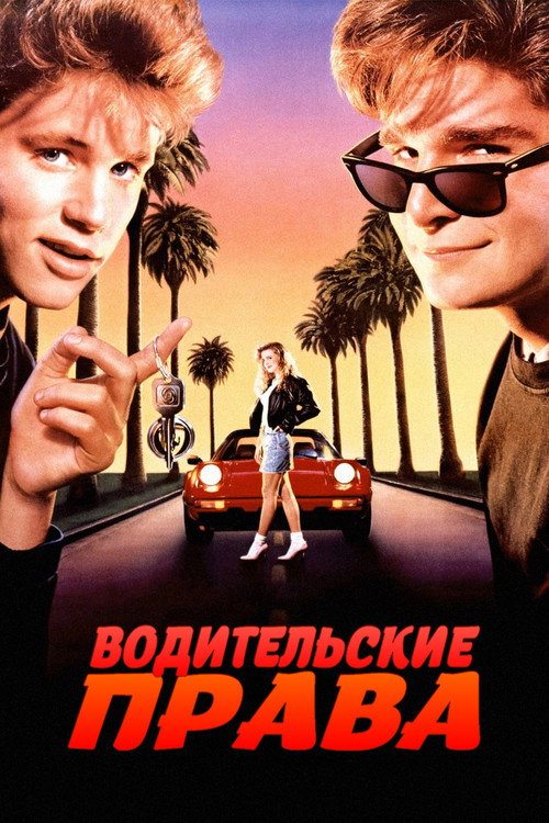 Постер: Водительские права