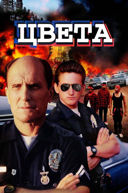 Постер: Цвета