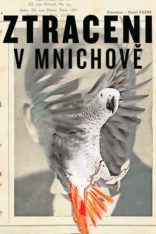 Постер: Потерянные в Мюнхене