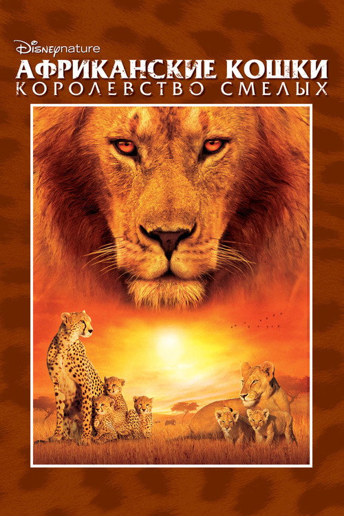 Постер: Африканские кошки: Королевство смелых