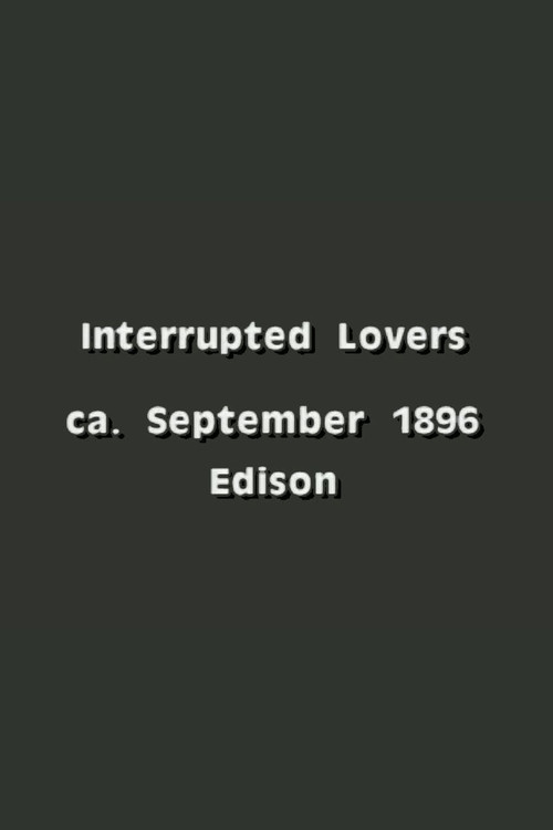 Постер: Interrupted Lovers