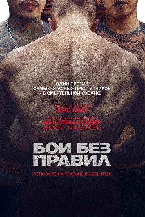 Постер: Бои без правил