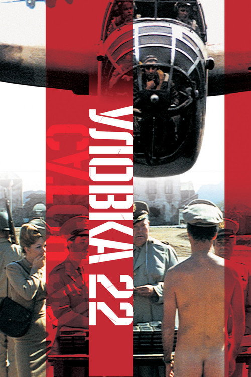Постер: Уловка-22