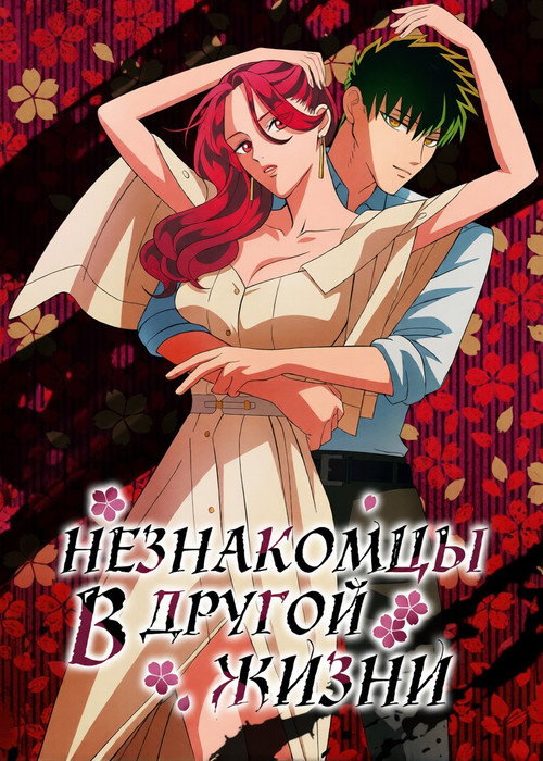 Постер: Незнакомец для другой жизни