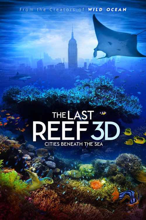 Постер: Последний риф 3D