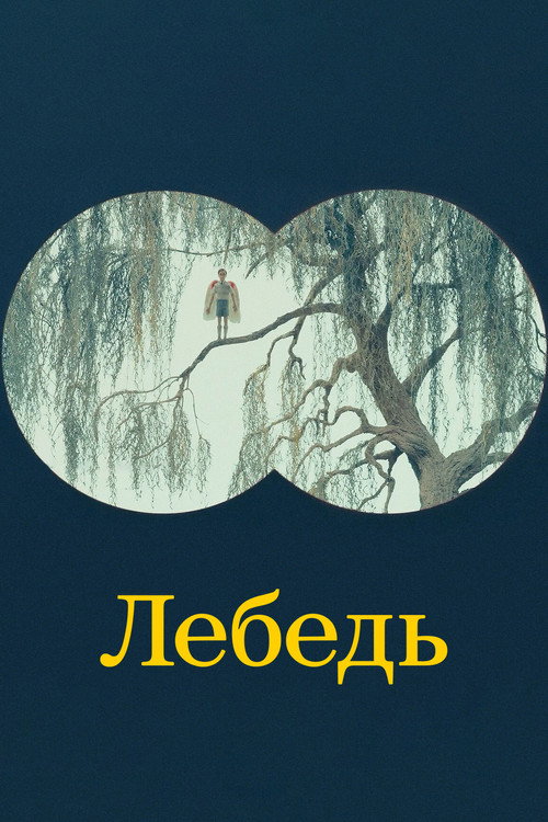 Постер: Лебедь