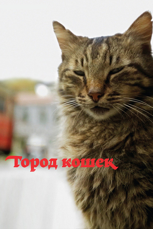Постер: Город кошек