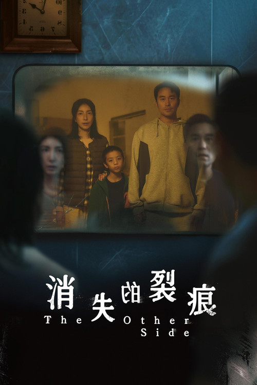 Постер: 消失的裂痕