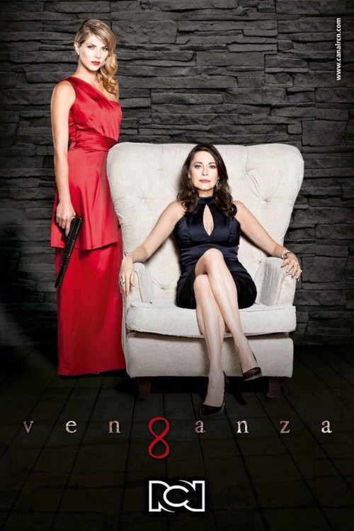 Постер: Venganza
