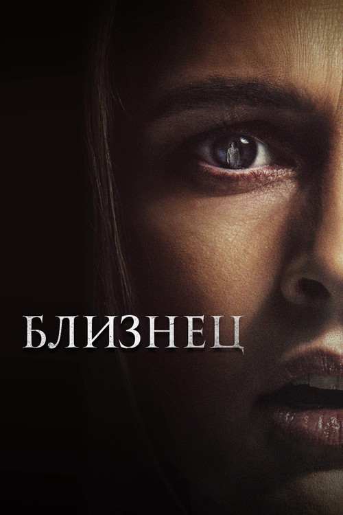 Постер: Близнец
