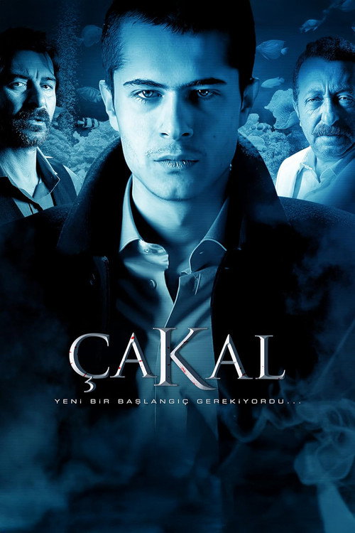 Постер: Шакал