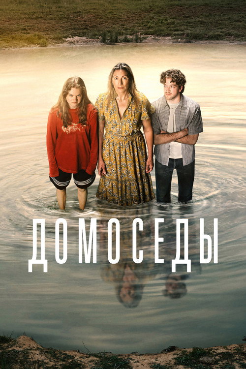 Постер: Домоседы