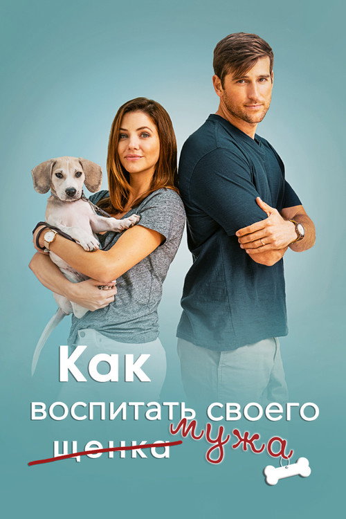 Постер: Как воспитать мужа