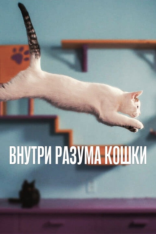 Постер: Внутри разума кошки