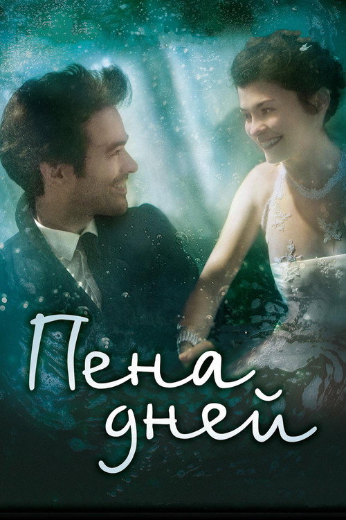Постер: Пена дней