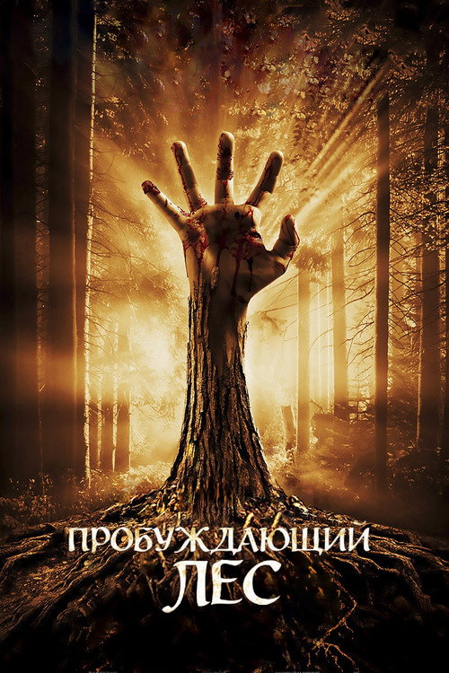 Постер: Пробуждающий лес