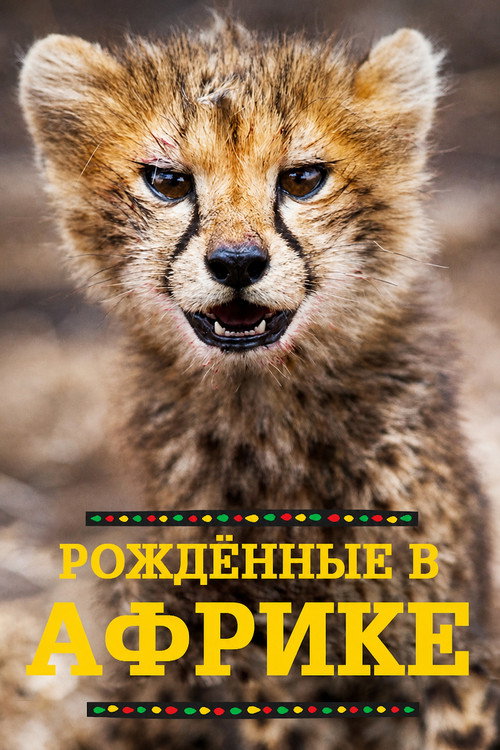 Постер: Рождённые в Африке